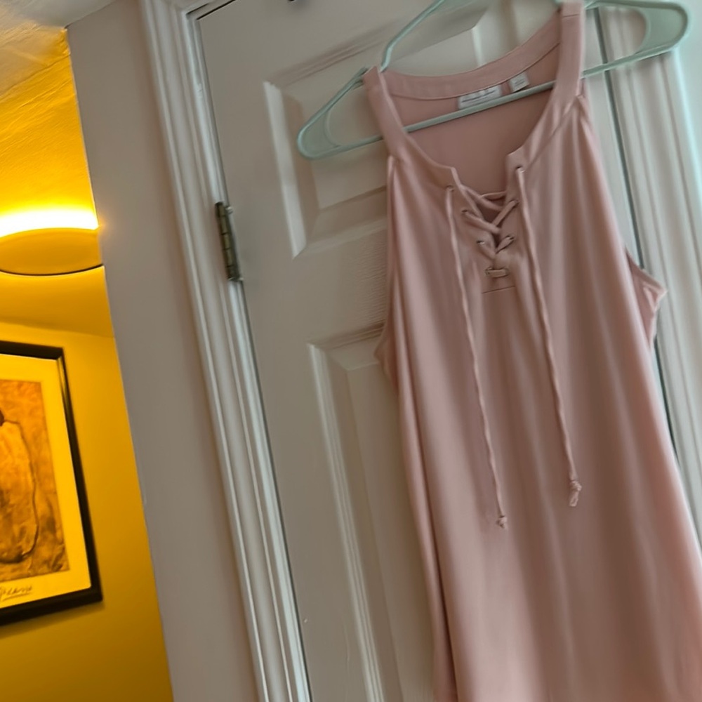 New York & Company Blush Pink Lace-Up Chemise